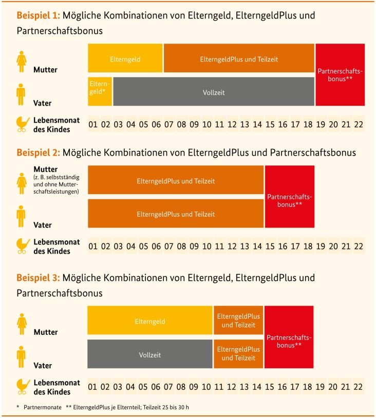 Erziehungsgelder und Elterngeld und Partnerschaftsbonus - Statistik